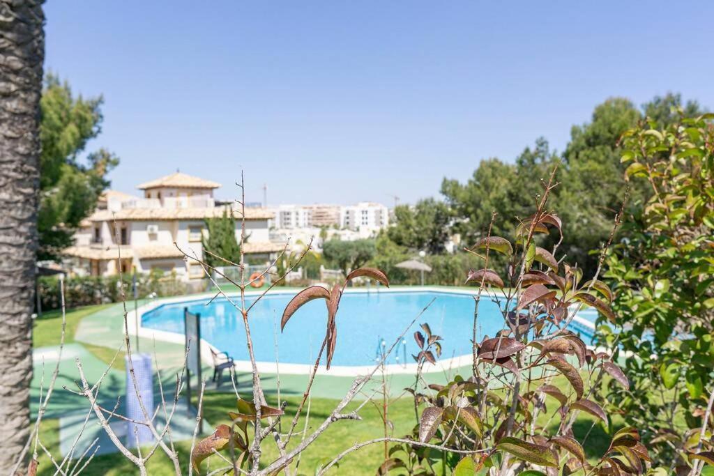 Casa Lilly-Rose, A Beautiful 3 Bedroom Detached Villa A Short Walk To The Villamartin Plaza & Golf Course Kültér fotó